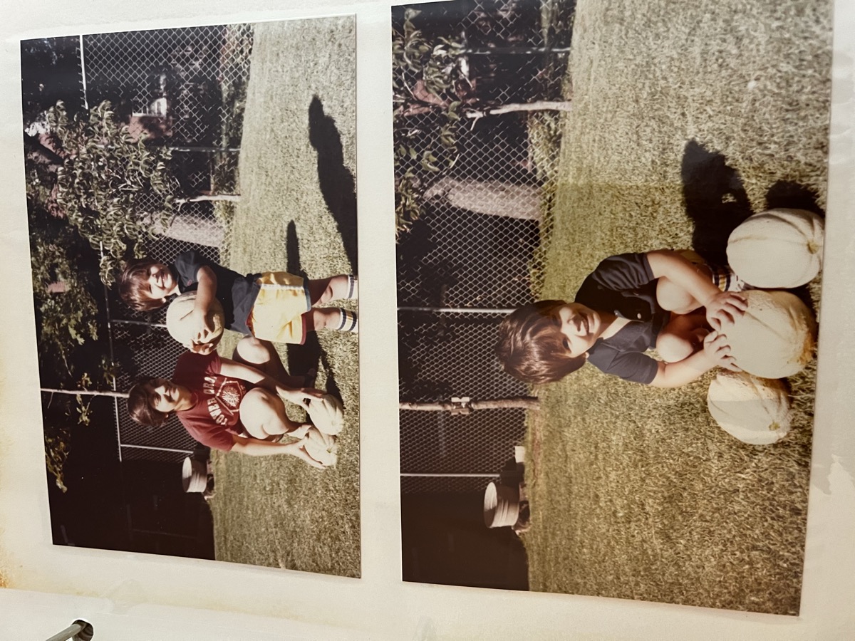 The farmers in the field