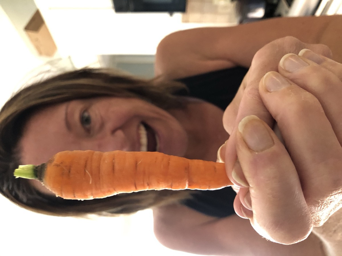 The farmers at the farm